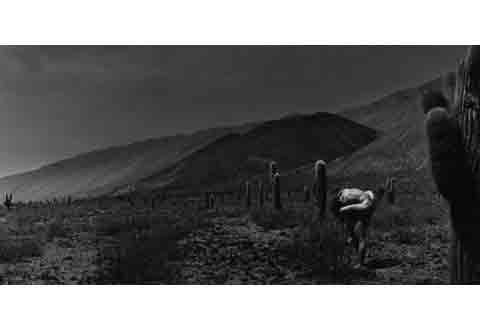 - Agrandir l'image, fenêtre modale