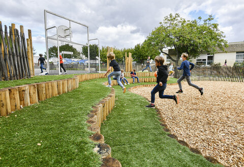 Cour vegetalisee de l'ecole des Brizeaux