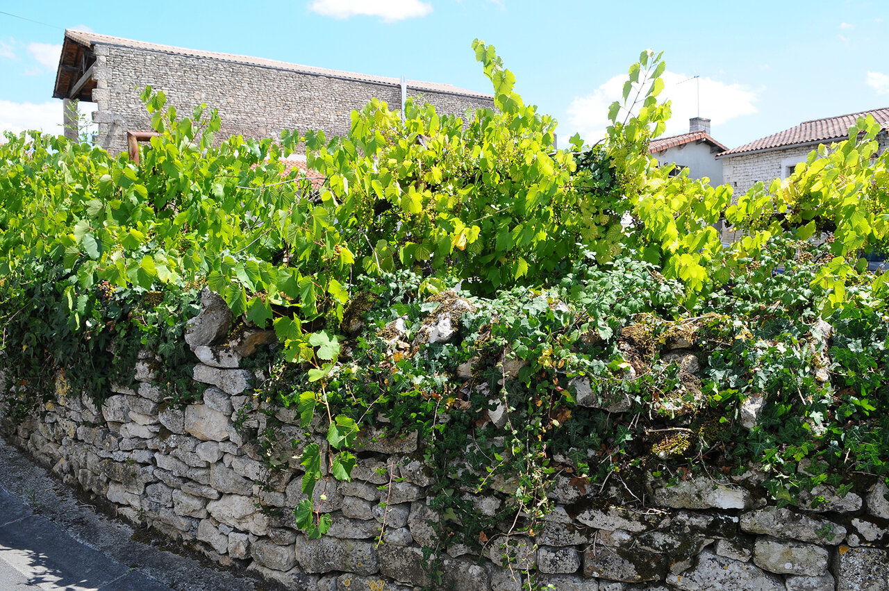 Mur en pierre dans le vieux bourg © E Chauvet
