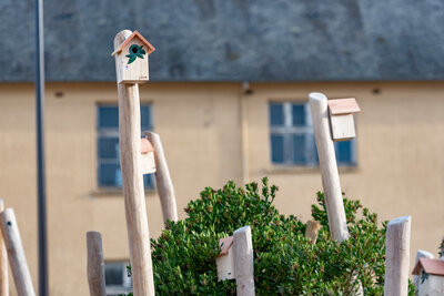  - Agrandir l'image 17 sur [153], fenêtre modale