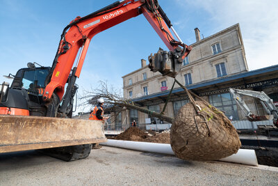  - Agrandir l'image 48 sur [166], fenêtre modale