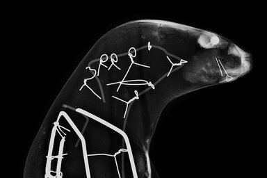 illustration de la manifestation