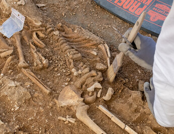 Fouilles archeologiques place Denfert Rochereau - Agrandir l'image 114 sur [118], fenêtre modale