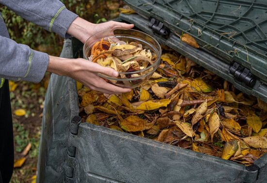 Animation nature. Que deviennent vos biodéchets? - Agrandir l'image, fenêtre modale