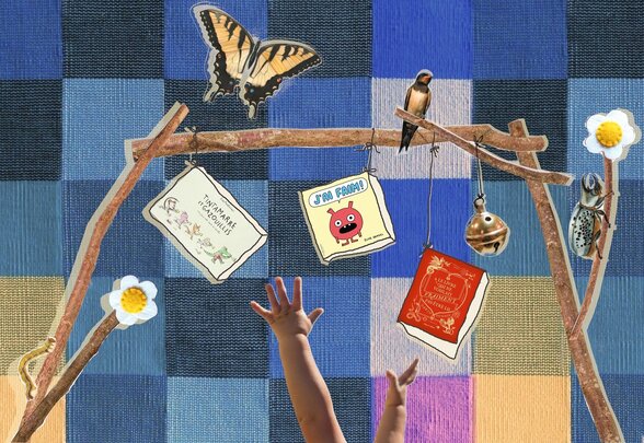 - Agrandir l'image, fenêtre modale