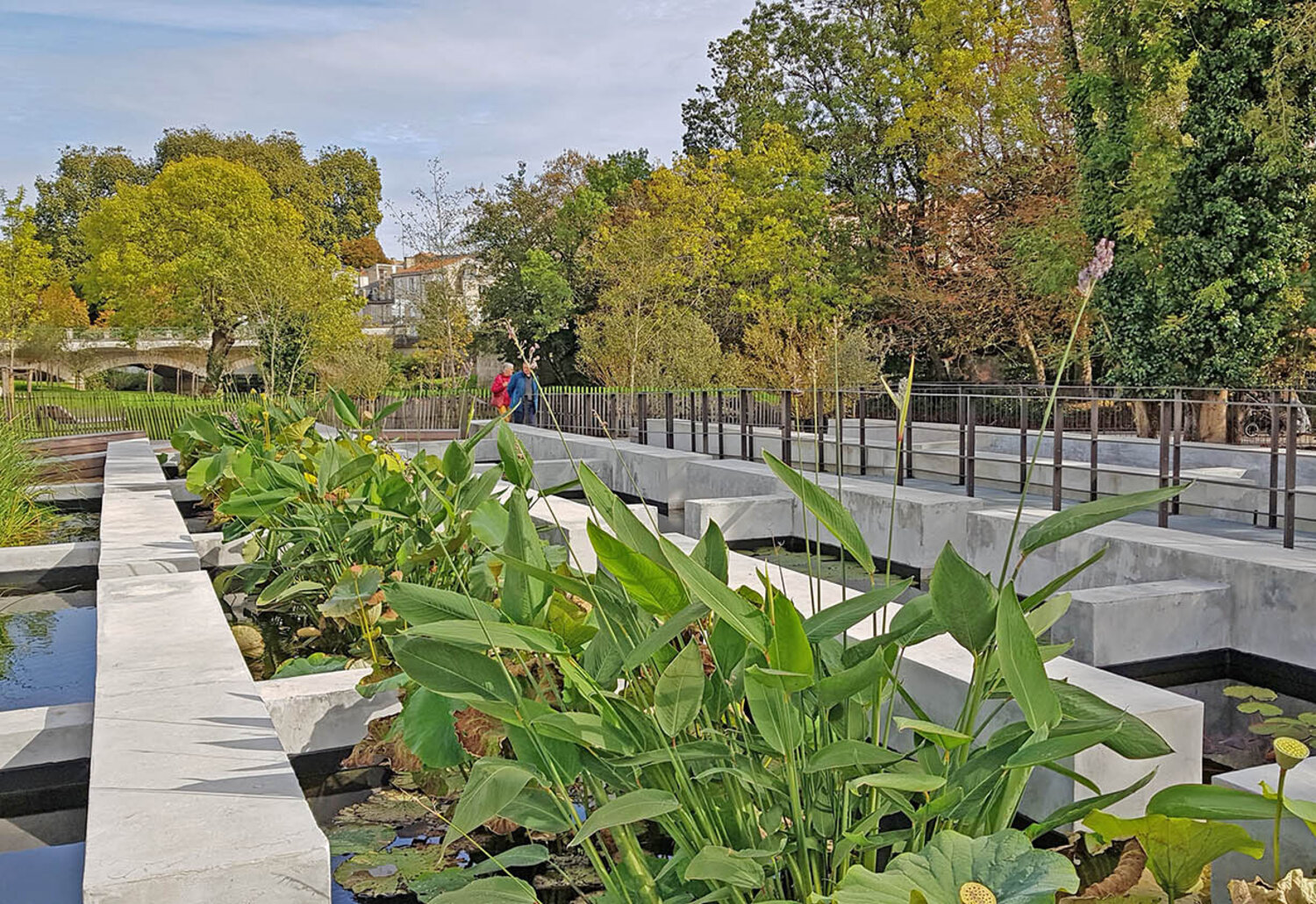 octobre 2020 Les bassins botaniques, octobre 2020 ©Sylvie Méaille
