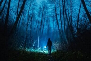 illustration de la manifestation