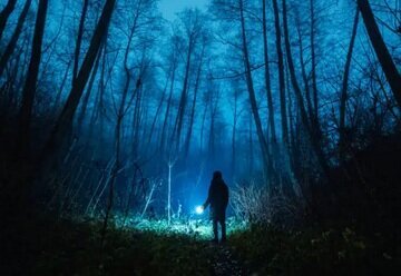 Lecture à 2 voix : les adultes aussi ont droit aux histoires ! - Agrandir l'image, fenêtre modale