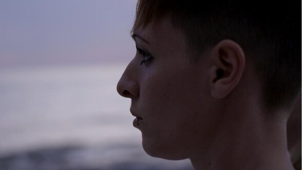  - Agrandir l'image, fenêtre modale