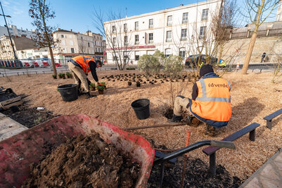 Chantier Gare Niort Atlantique cote Ouest - Agrandir l'image 21 sur [166], fenêtre modale