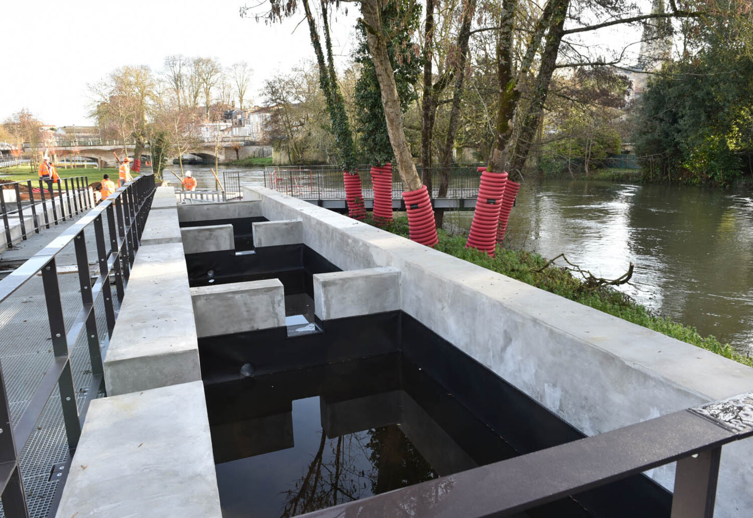 décembre 2019 Les Bassins botaniques, décembre 2019 ©Bruno Derbord