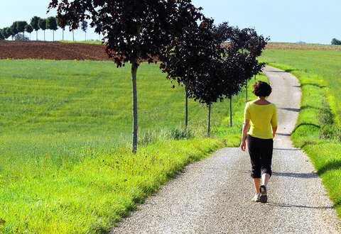 Chemin du 3e millénaire © E. Chauvet