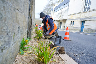 Rue de l'Abreuvoir - Agrandir l'image 20 sur [117], fenêtre modale