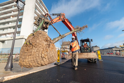  - Agrandir l'image 50 sur [166], fenêtre modale