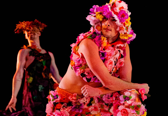  - Agrandir l'image, fenêtre modale