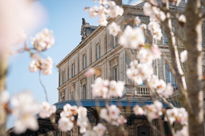 Chantier Gare Niort Atlantique cote ouest - Agrandir l'image 14 sur [166], fenêtre modale