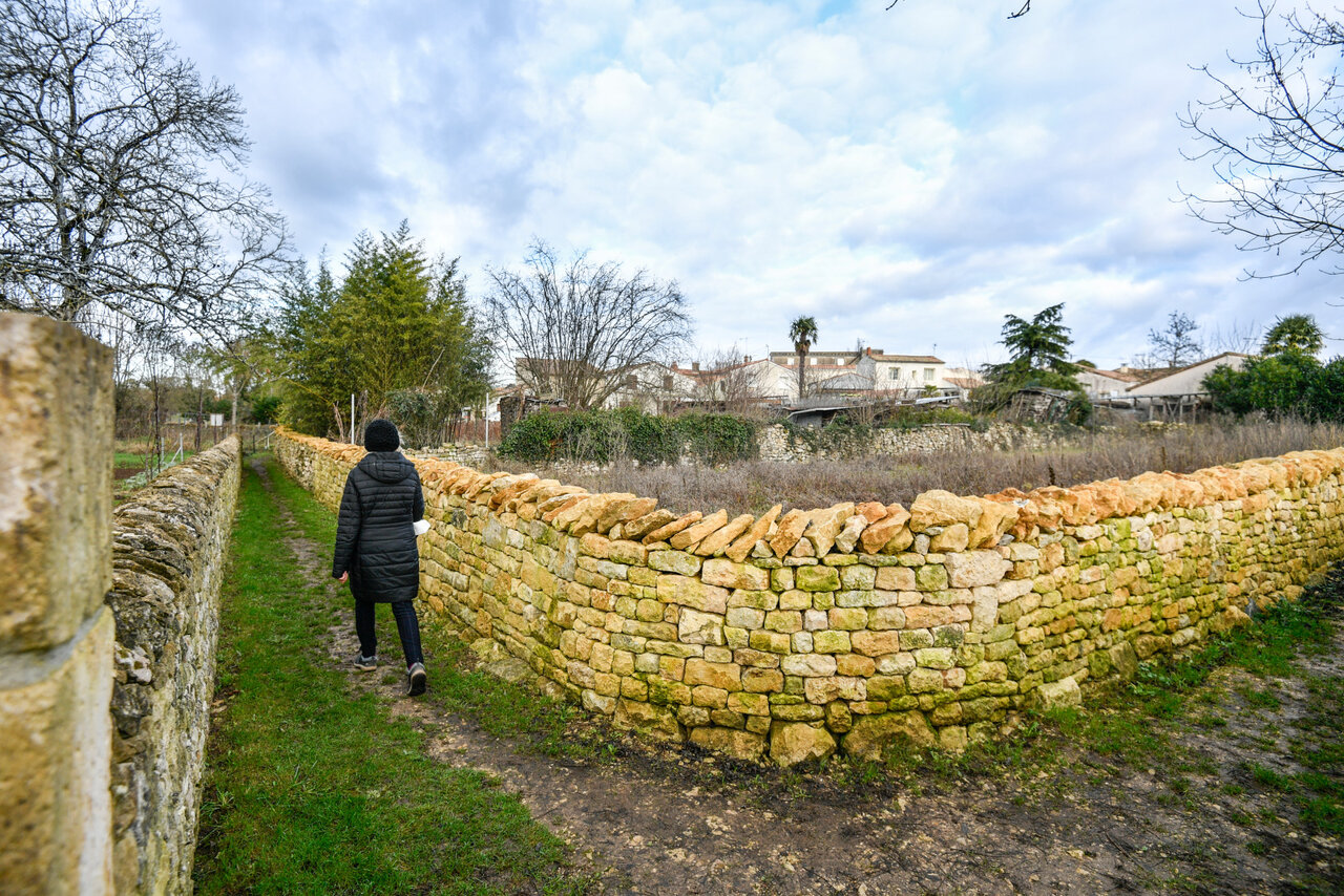 Chemin des brouettes © Darri