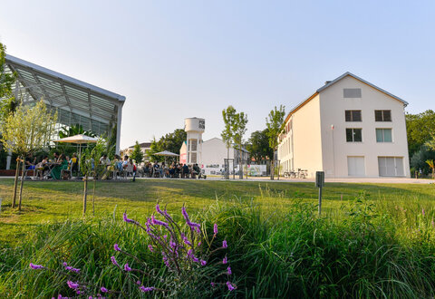 Port Boinot © Darri