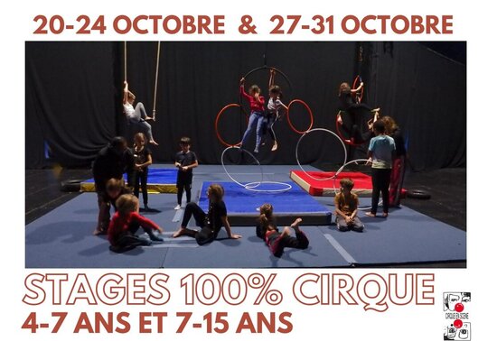 Stages de sensibilisation Cirque en Scène - Agrandir l'image, fenêtre modale