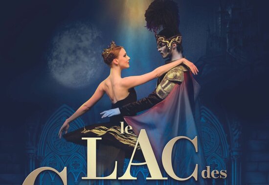 LE LAC DES CYGNES - Agrandir l'image, fenĂȘtre modale