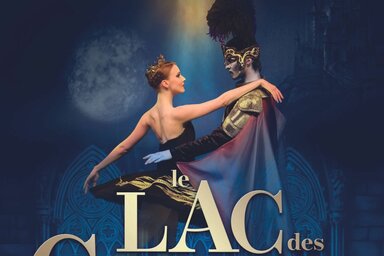 illustration de la manifestation