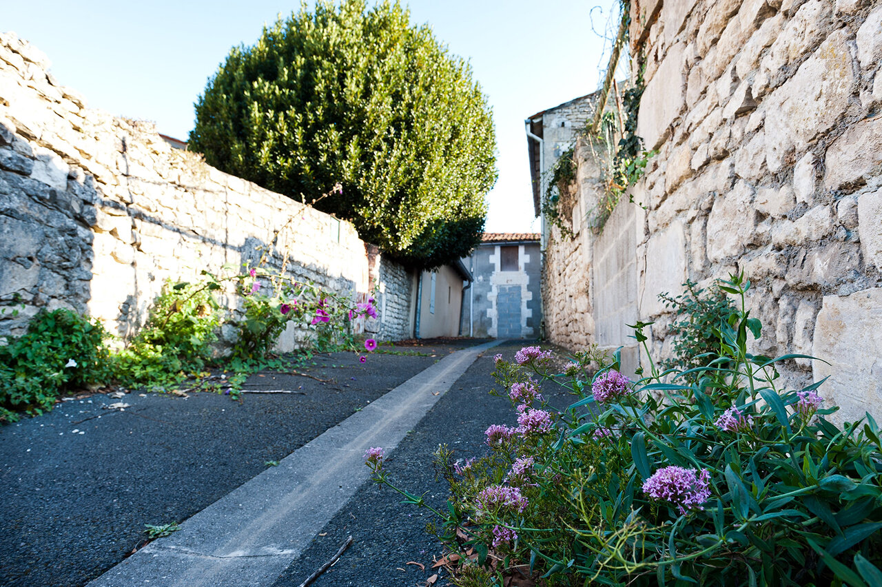 Petit Village de Ribray
