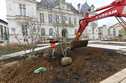 Plantation des arbres place Martin-Bastard. - Agrandir l'image 65 sur [117], fenêtre modale