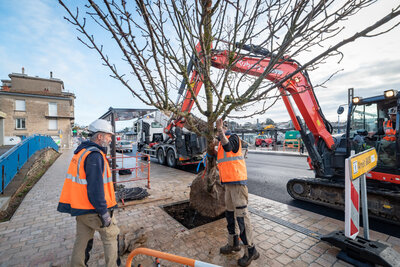  - Agrandir l'image 51 sur [166], fenêtre modale