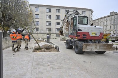 Place Martin-Bastard - Agrandir l'image 54 sur [117], fenêtre modale