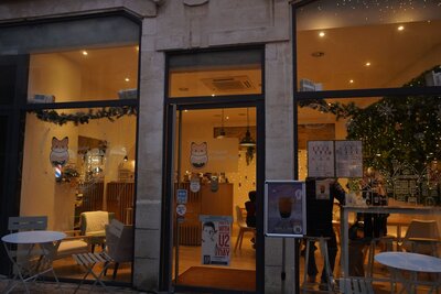  - Agrandir l'image 16 sur [22], fenêtre modale