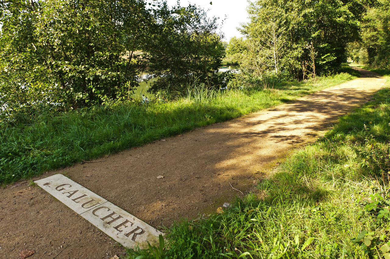 Marais de Galuchet  © A. Giraud