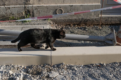  - Agrandir l'image 23 sur [118], fenêtre modale