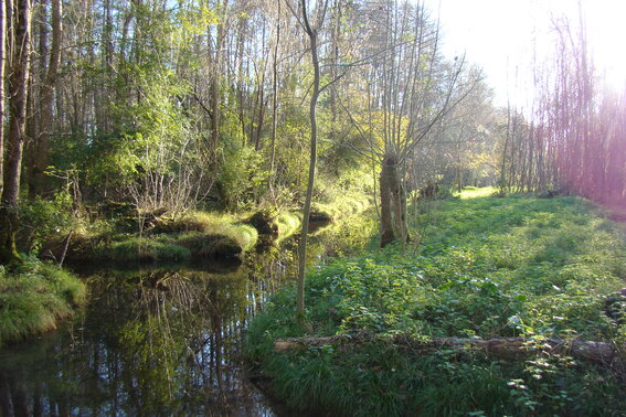 Conférence : La Réserve Naturelle Régionale du marais de Galuchet et des boucles de la Sèvre niortaise - Agrandir l'image, fenêtre modale