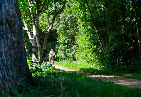 Marais de Galuchet © Darri