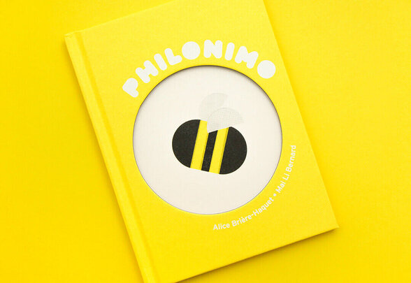 - Agrandir l'image, fenêtre modale