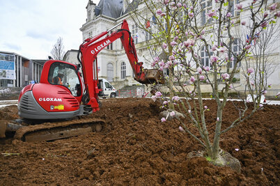 Plantation des arbres place Martin-Bastard. - Agrandir l'image 66 sur [117], fenêtre modale