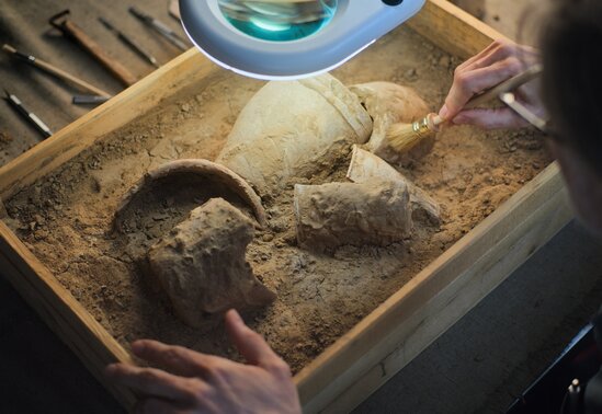 Exposition : Archéologie et restaurations - Agrandir l'image, fenêtre modale