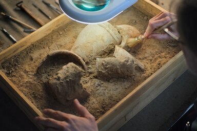 illustration de la manifestation