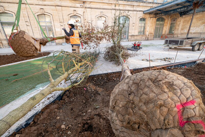  - Agrandir l'image 39 sur [166], fenêtre modale