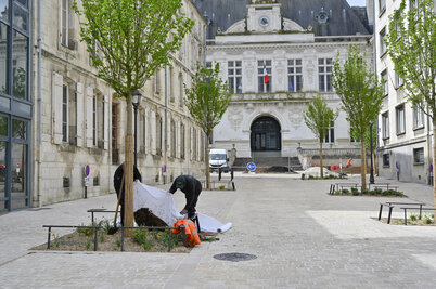  - Agrandir l'image 1 sur [117], fenêtre modale