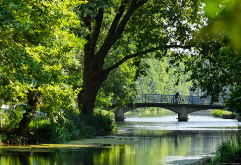 La Roussille vue du moulin © Darri
